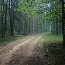 ���� �������, ����� - ��������� 6 ��� 2016 � ������ �������� �������