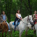 ������ �������� 2012