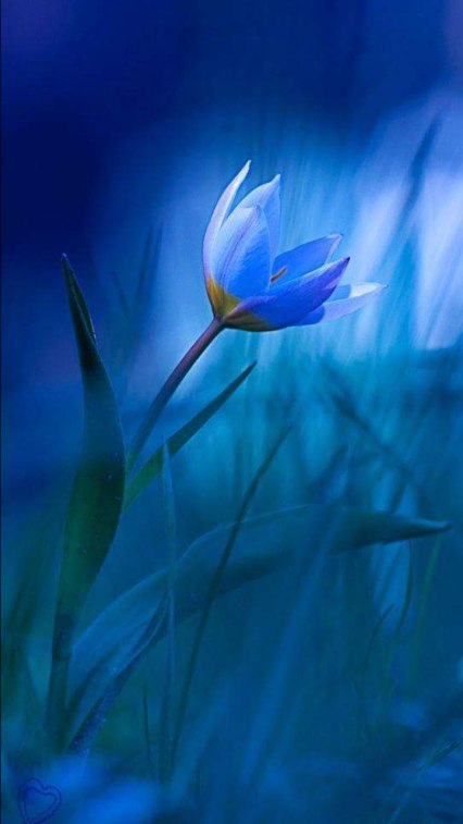 ��� �� ������,����� ������ ���� ������, � ���� �������, ��� �� ���� � ����� ����