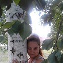 ���� ������ �������, ������, 50 ��� - ��������� 26 ���� 2016 � ������ ���� ����������