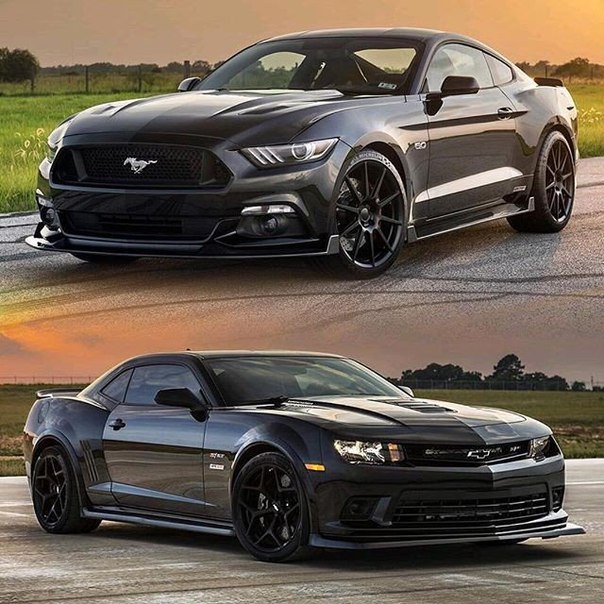 Mustang & Camaro