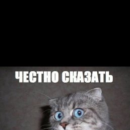 ���� ������, ��������, 38 ��� - ��������� 30 ��� 2016