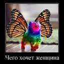 ���� �����, �����, 66 ��� - ��������� 18 ��� 2016 � ������ �� ������� ������.�