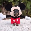 ���� �����, ���� - ��������� 9 ��� 2016 � ������ ���� ����������