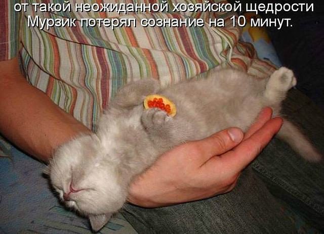 ��� �����������...