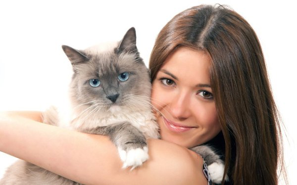 CATS OF ALL - 27  2016  10:35