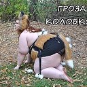 ���� �������_��, ������ ��������, 85 ��� - ��������� 11 ������ 2016 � ������ ���� ����������