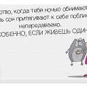 ���� ���, �������� - ��������� 27 ������ 2016 � ������ ���� ����������