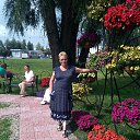 ���� ����, ����, 66 ��� - ��������� 6 ������� 2016 � ������ ���� ����������