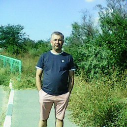 ��� ����