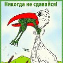 ���� ���������, �������, 47 ��� - ��������� 24 ������� 2016 � ������ ���� ����������