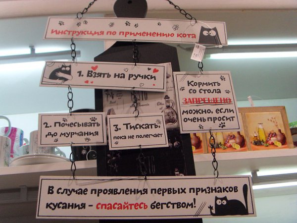 Как применять Кота?!! Есть инструкция, Техника безопасности включена.