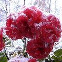 2014 ������� ��������� �� ������� ���� ����������