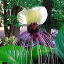 ���� Eric, ����, 61 ��� - ��������� 21 ��� 2016 � ������ �Flora and fauna�