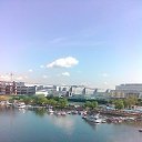 ���� ����, ������ - ��������� 29 ��� 2016 � ������ ���� ����������