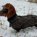 � ������� � �������)