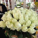 ���� �����, ������, 68 ��� - ��������� 16 ������ 2016 � ������ ���� ����������