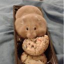 ���� �����, �������, 41 ��� - ��������� 16 ������ 2016 � ������ ���� ����������