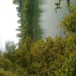 ���� Nadejda, �����-���������, 45 ��� - ��������� 21 ����� 2016