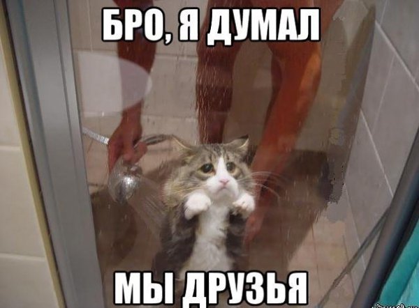    ! fotostrana.ru/public/341843/