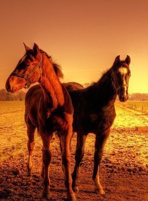 ���������� ����� https://fotostrana.ru/away?to=/sl/NAD2 - 6