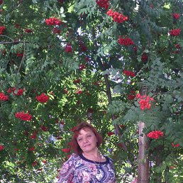 ���� �������, �����������, 59 ��� - ��������� 4 �������� 2016