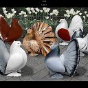 ���� Lera, ������, 65 ��� - ��������� 20 ��� 2016 � ������ ������ ��������