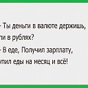  , , 43  -  11  2016   .