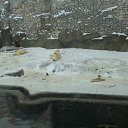 ���� ����, ������������, 35 ��� - ��������� 12 ���� 2016 � ������ �Moscow 2016 January�