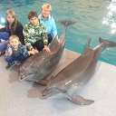 ���� �����, ��������, 47 ��� - ��������� 13 ����� 2016 � ������ ���� ����������