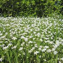 ���� St., ������, 59 ��� - ��������� 2 ������� 2016 � ������ ������-���� 2016�