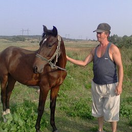 ���� �����, ������ ��������, 40 ��� - ��������� 28 ���� 2016