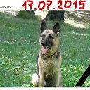 ���� �������� �, ���������� - ��������� 21 ���� 2016 � ������ ����� ����� �������� ���������