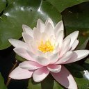 ���� ������, �����������, 45 ��� - ��������� 1 ��� 2016 � ������ �������