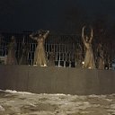 ���� ������, �����-���������, 49 ��� - ��������� 15 ����� 2016 � ������ ���� ����������