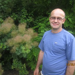 ����, ������, 46 ���