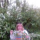  , -, 51  -  29  2016    