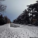 ���� ������, �����������, 67 ��� - ��������� 11 ��� 2016 � ������ ������������-4�