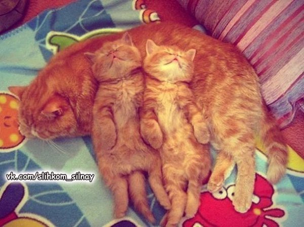 ����� ������...