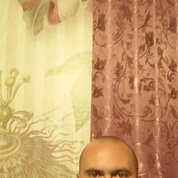 �������, �����, 47 ���