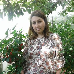 ���� ��������, ������, 52 ���� - ��������� 31 ���� 2016