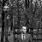 ���� ��������, �������, 45 ��� - ��������� 28 ����� 2016