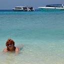 -      ?-        .    - 2016