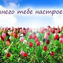 ���� ������, ������, 59 ��� - ��������� 29 ���� 2016 � ������ �������� ��������