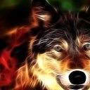 ���� �������, �������, 37 ��� - ��������� 29 ���� 2016 � ������ ���� ����������