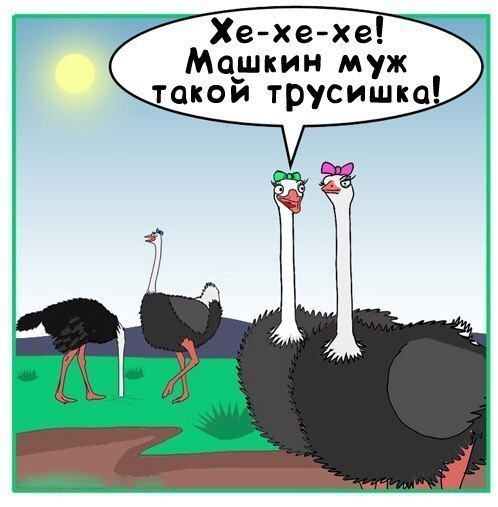 �������� ���� - 22 ����� 2016 � 07:05