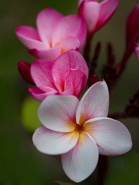  ! - 8  2016  18:49 - 3