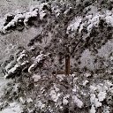 ���� Andrey, ��������, 62 ���� - ��������� 2 ��� 2016 � ������ ������ ��������