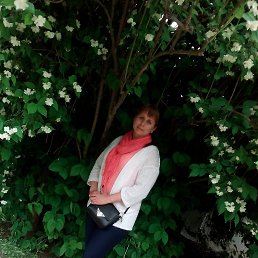 ���� �������, �������������, 42 ���� - ��������� 9 ���� 2016