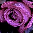 ���� ������, �����������, 45 ��� - ��������� 1 ��� 2016 � ������ �������